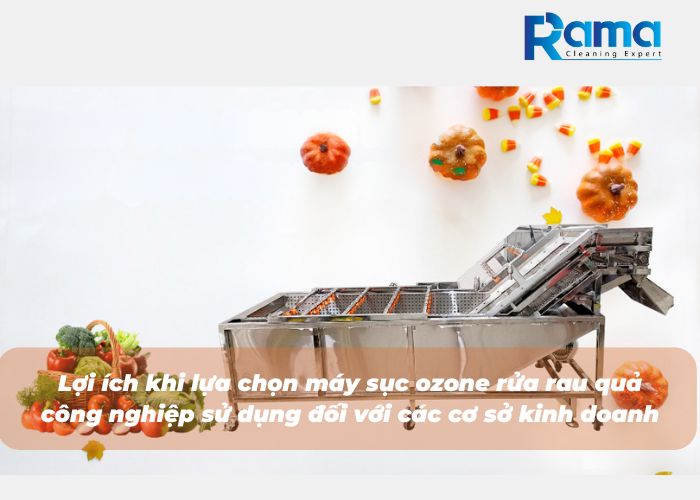 Lợi ích khi lựa chọn máy sục ozone rửa rau quả công nghiệp sử dụng đối với các cơ sở kinh doanh âm thực