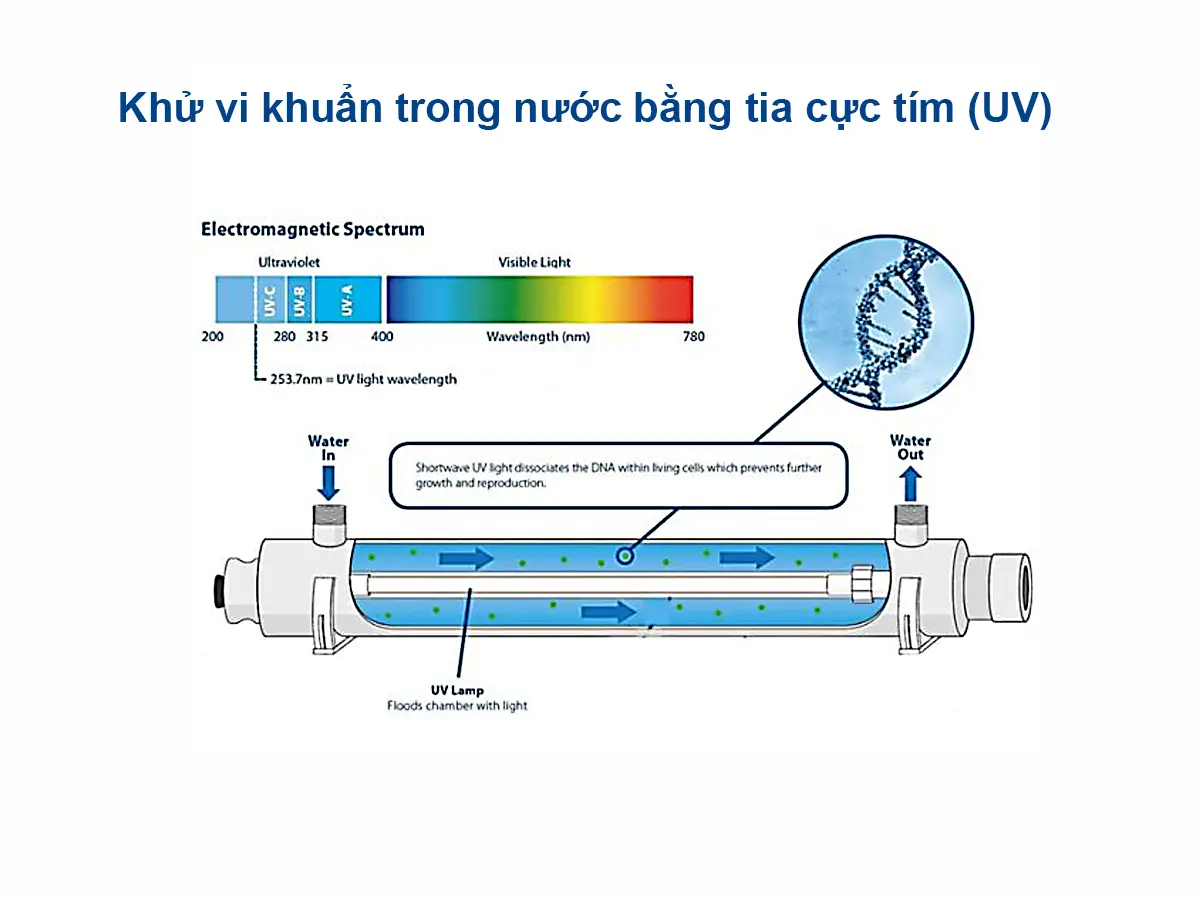 nguyên lý hoạt động của đèn UV xử lý nước