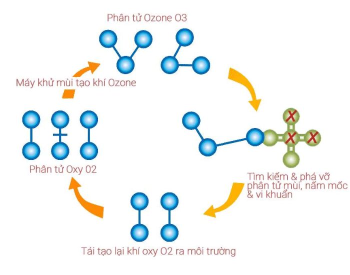 Cách Thức Hoạt Động của khử khuẩn không khí máy ozone