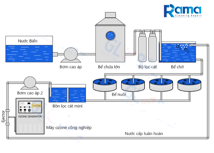 Quy trình làm sạch nước ao nuôi cá bằng máy ozone