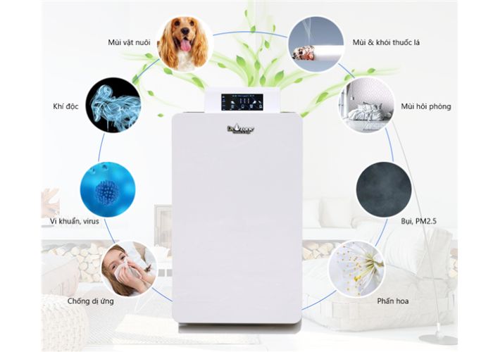 Máy ozone là gì và hoạt động như thế nào