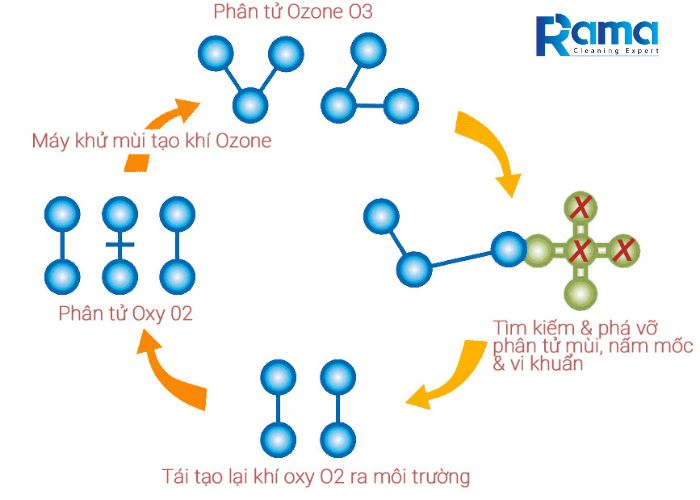 Sự hình thành ozone