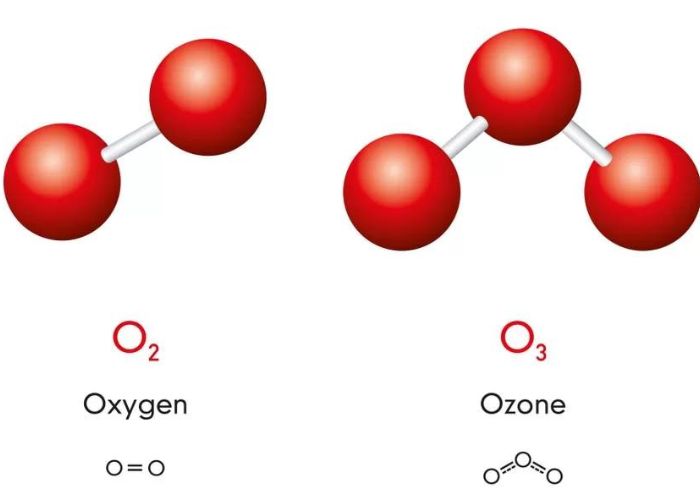 Sự phá hủy ozone