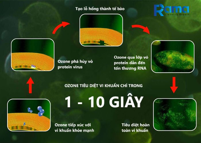 Tác dụng của ozone