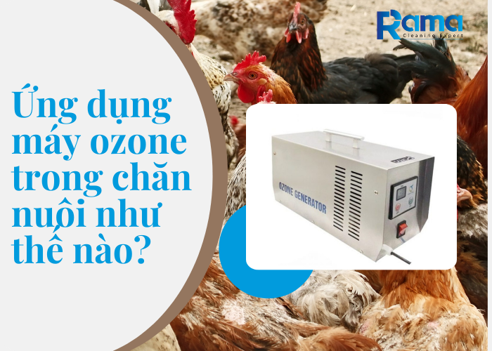 máy ozone trong chăn nuôi