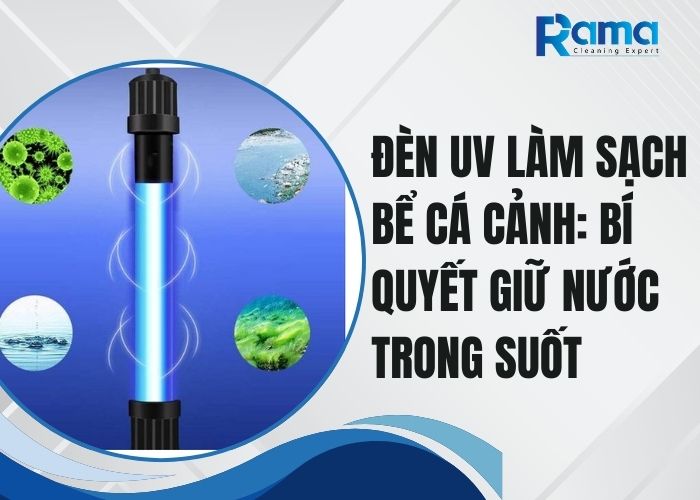 đèn UV làm sạch bể cá cảnh