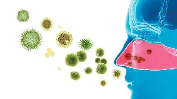 Đèn UV cho gia đình có trẻ nhỏ: An toàn và hiệu quả như thế nào? 5 đèn UV cho gia đình có trẻ nhỏ