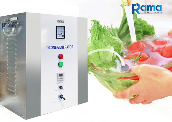 Máy ozone cho thực phẩm: Công nghệ xử lý thực phẩm hiện đại 6 máy ozone cho thực phẩm