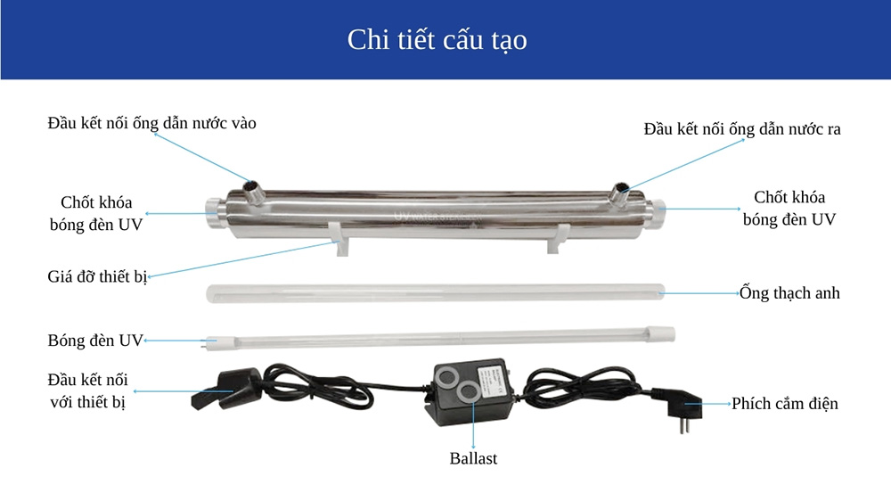 cau tao uv 21w 29w 1