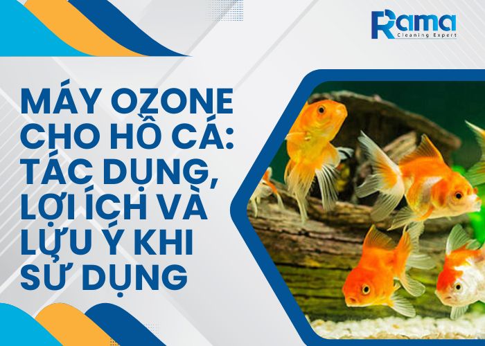 máy ozone cho hồ cá