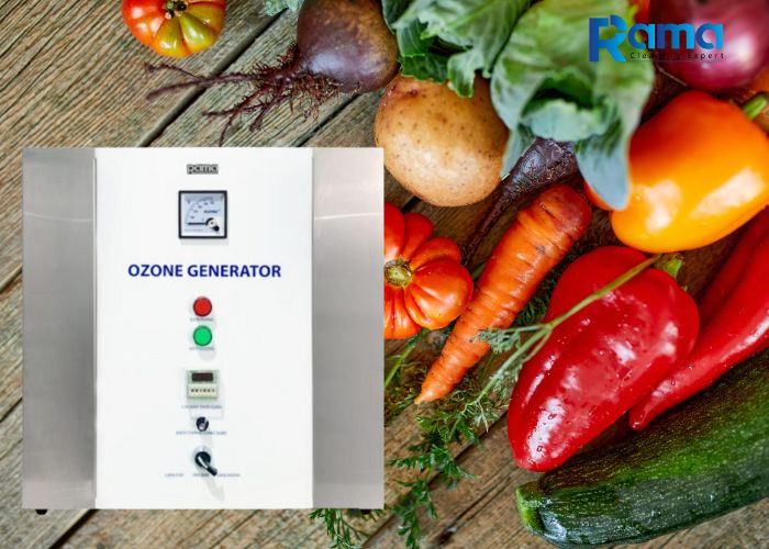 máy ozone cho thực phẩm