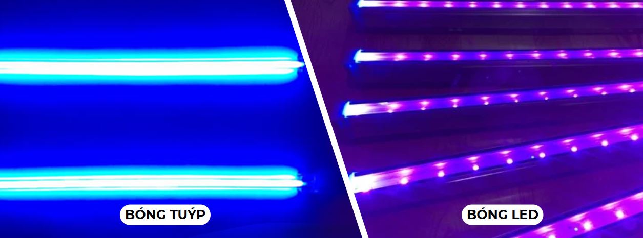 Các loại đèn UV diệt khuẩn