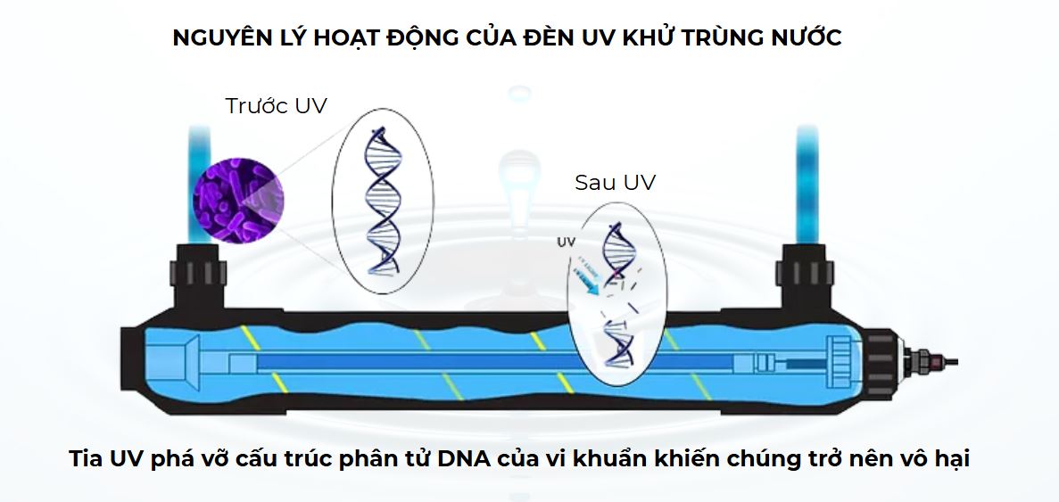 Tác dụng của đèn UV diệt khuẩn