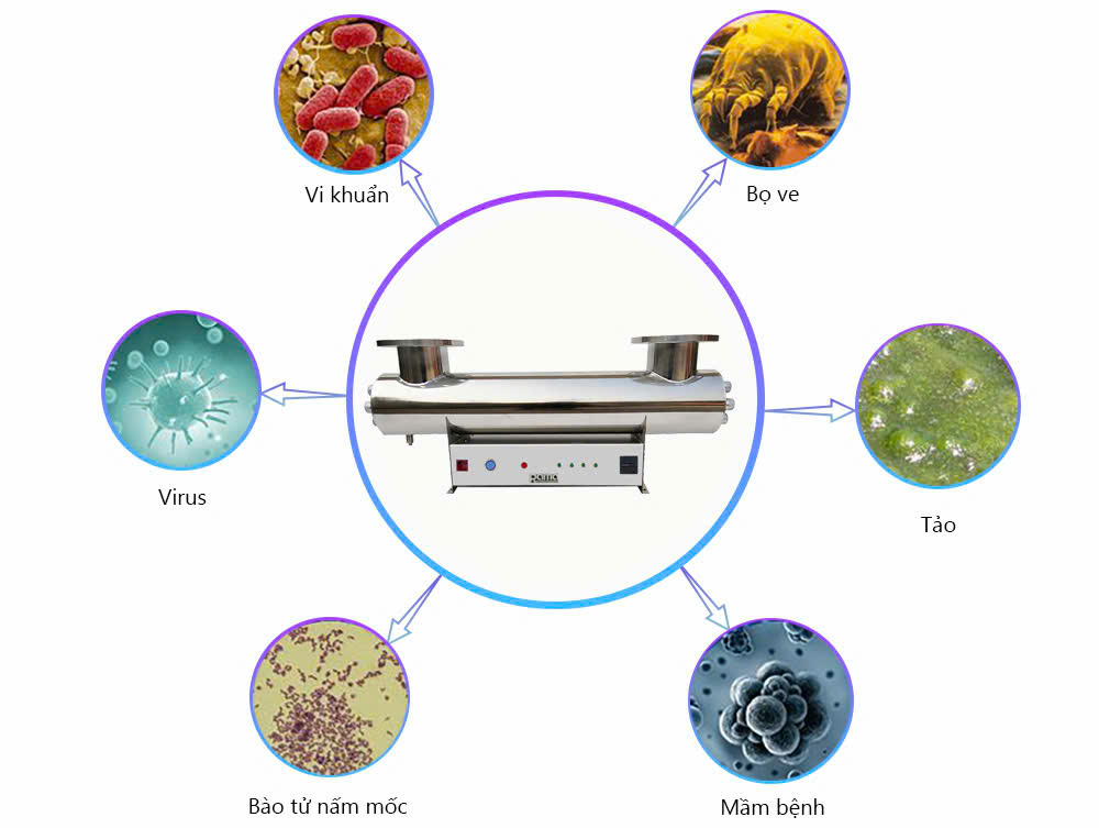 Thiết bị UV xử lý nước