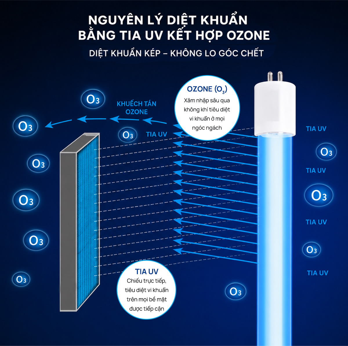 Đèn UV khử trùng cao cấp Rama UV LUX công suất 15-40W 13 Nguyên lý diệt khuẩn của đèn UV khử trùng Rama UV LUX