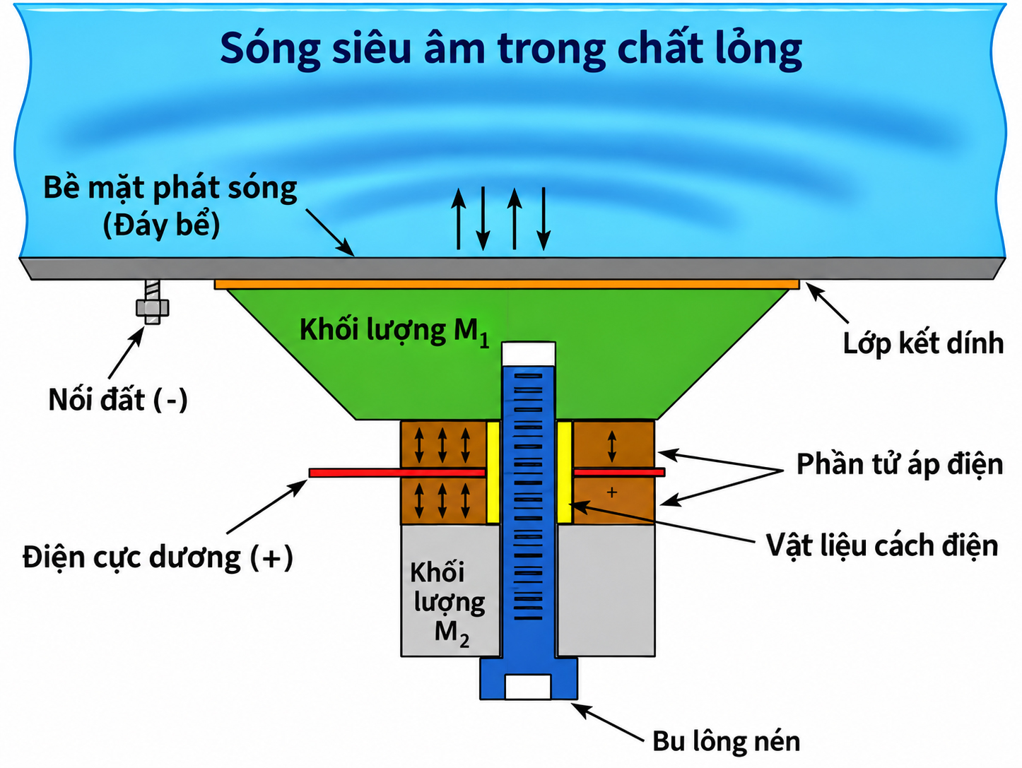 Bể rửa siêu âm 10L / 15L / 20L / 30L: Loại bể nào phù hợp dùng trong y tế? 9 Nguyên lý hoạt động của bể rửa siêu âm rửa dụng cụ y tế